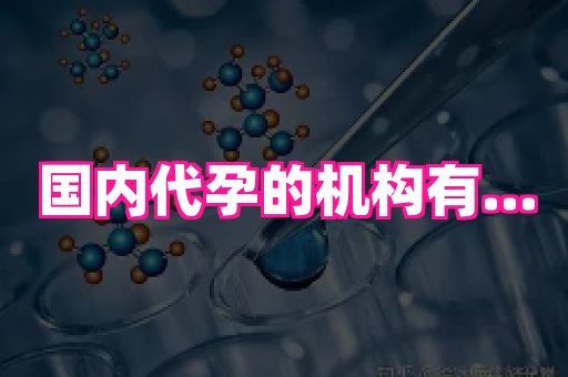 海口助孕网站 1