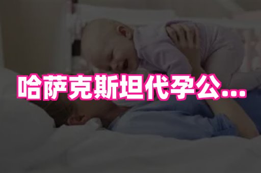 海口助孕网站 2