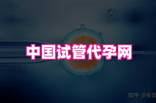 海口助孕网站 3